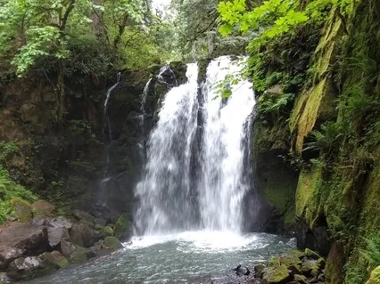 A Pain Reduction Practice