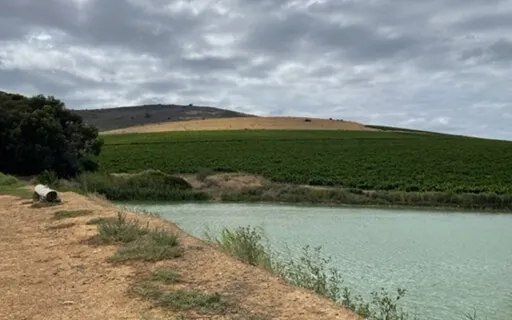 A Meditation For Peace, Tranquility And Healing