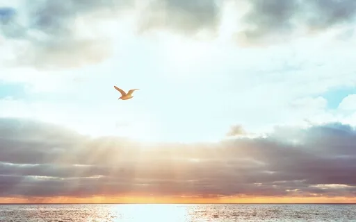 A Meditation For Peace