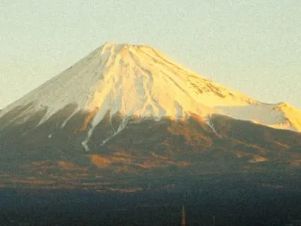 A Meditation For Political Anxiety