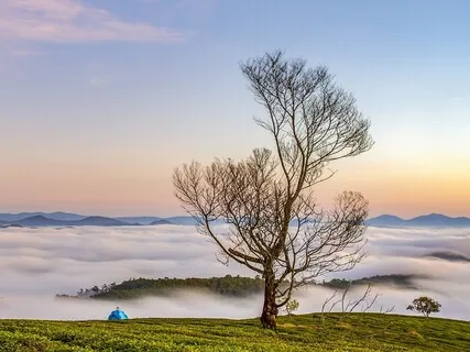 A Meditation For Reducing Stress And Building Resilience 