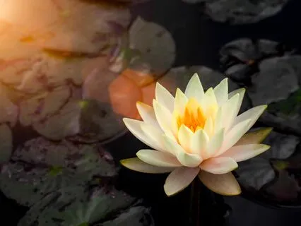 A Meditation For Self-Acceptance