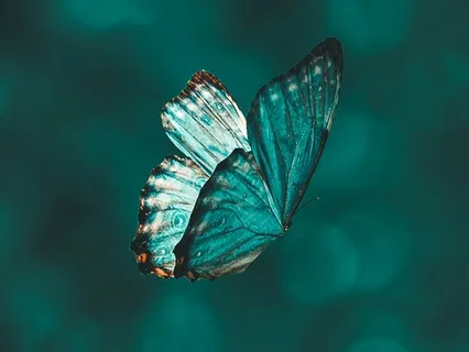 A Meditation For Significant Change