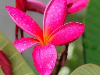 A Meditation For Stillness And Peace