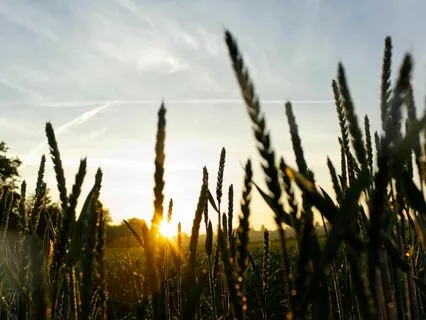 A Meditation For Stress-Free Mornings