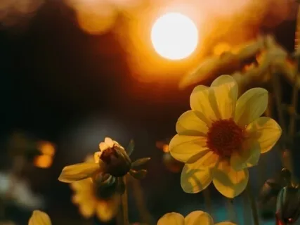 A Meditation For Support 