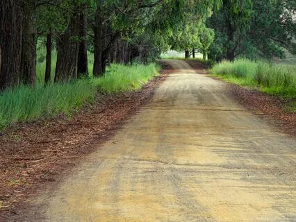 A Meditation For Teachers On Progress