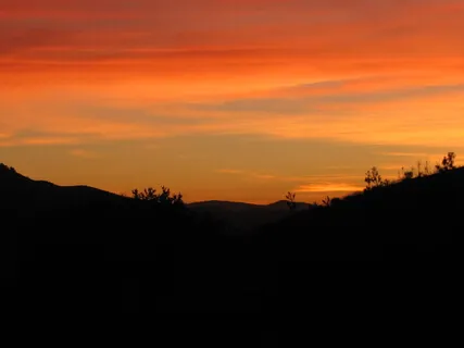 A Meditation For The Lonely Heart