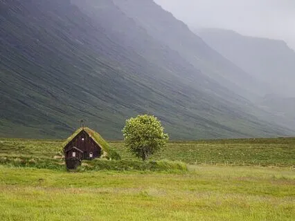 From Alone To Connected: Healing The Pain Of Loneliness