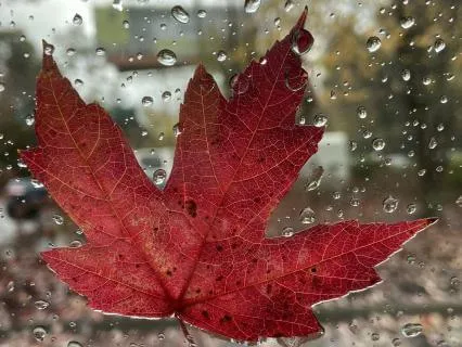 A Meditation For Tough Days | Find Calm & Strength