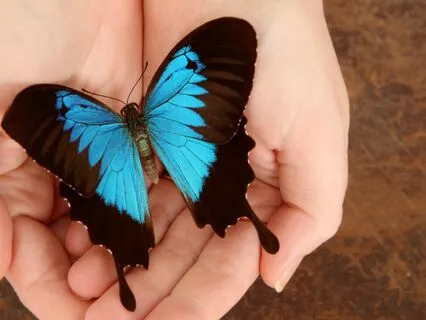 Fear Of Vulnerability