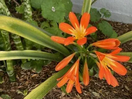 A Meditation For When You Are Feeling Alone And Anxious