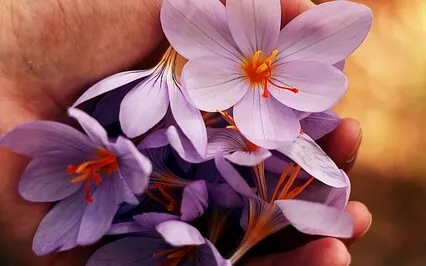 A Meditation For When You Feel Anxious