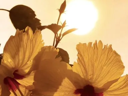 A Meditation For When You Feel Emotionally Overwhelmed