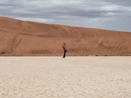 For When You're Feeling Lost