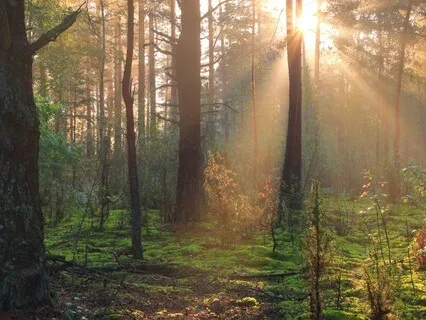 A Meditation From Can We Ever Truly Forgive?