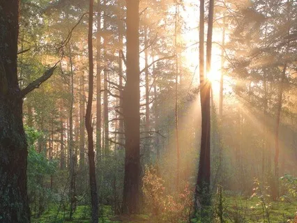 A Meditation From Choosing To Befriend Everyone