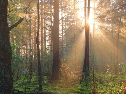 A Meditation From Knowing How To Give