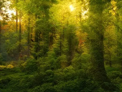 A Meditation On Acceptance And Love