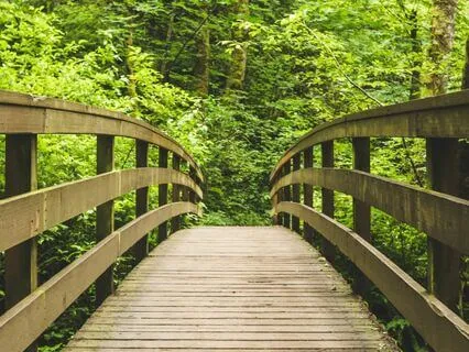 A Meditation On Boundaries In Different Life Areas