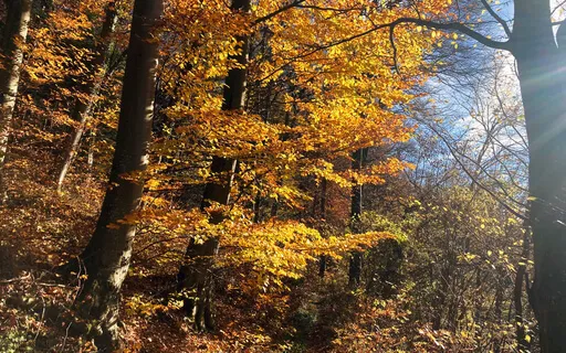 A Meditation On Change 