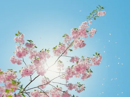 A Practice For Emotional Pain