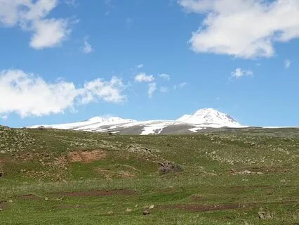 A Meditation On Goal Congruence