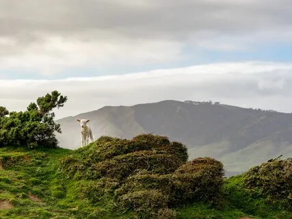 A Meditation On Gratitude & Nourishment