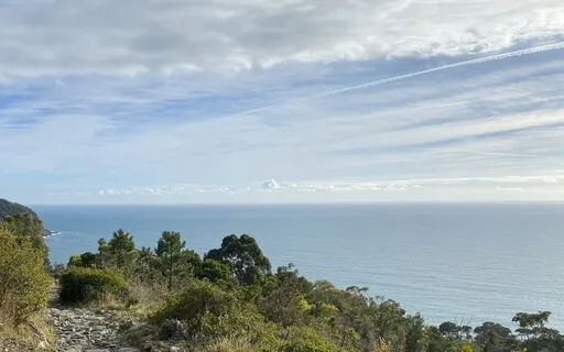 A Meditation On Imperfection And Wholeness