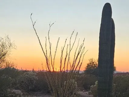 A Meditation On Letting Go-Place It In The Desert