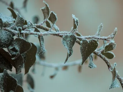 A Meditation On Love