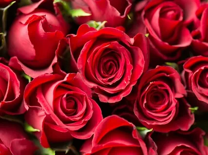 A Meditation On Love