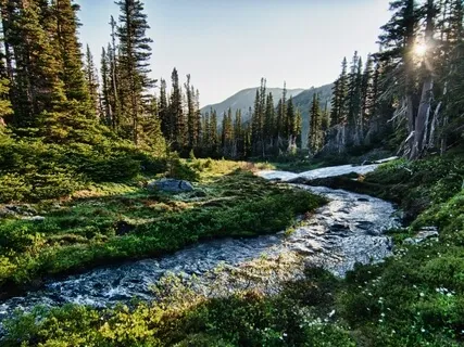 A Meditation On Presence With John P. Milton