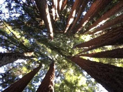 A Meditation On Stability, Presence, And Building Resilience