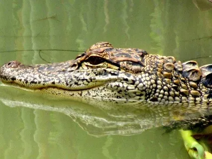 A Meditation On The Potential Of Scary Moments