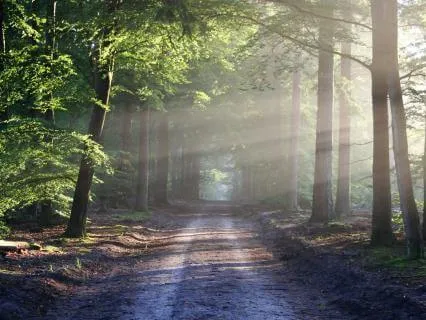 A Meditation On Trust