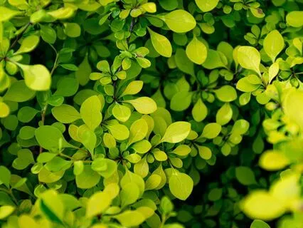 A Meditation Practice For A Higher Seeker