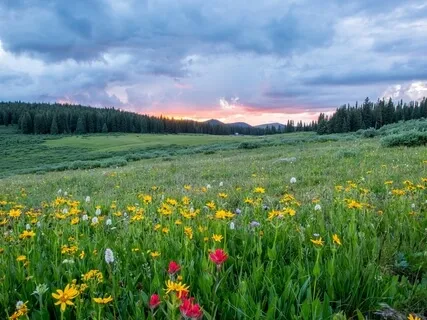 A Meditation Psalm Of Hope & Prayer Of Deliverance