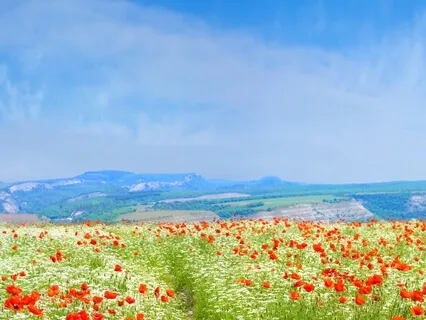 A Meditation: Staying Optimistic When Life Seems Difficult