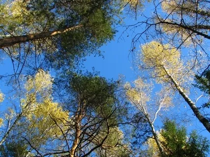 A Meditation That Offers Still Space Within The Busyness Of Life