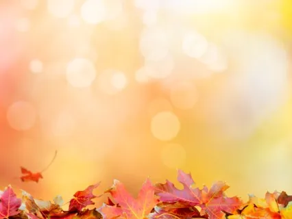 A Meditation To Cultivate Embodied Awareness