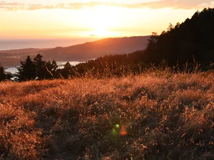 A Meditation To Cultivate Trust