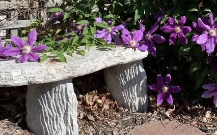 A Meditation To Focus Your Mind