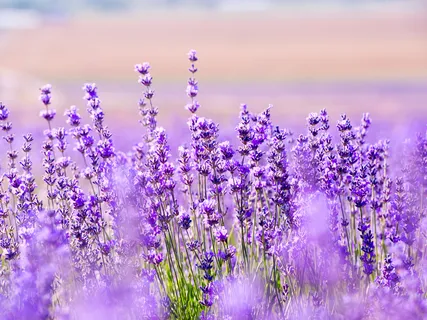 You Are A Gift In The Workplace