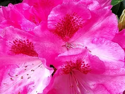 A Meditation To Let Go Of Worries About The Past And Future