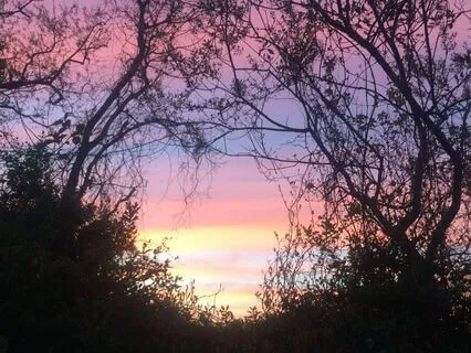 A Meditation To Release Shame