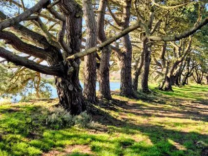 A Meditation To Release Tension