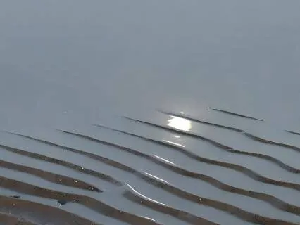 A Meditation To Soothe The Nervous System