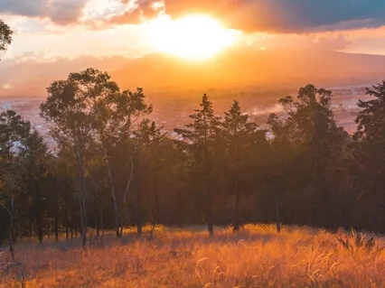 Start The Day With Wisdom & Deep Perspective