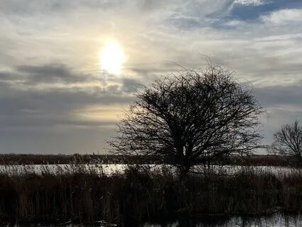 A Meditation To Support Grief